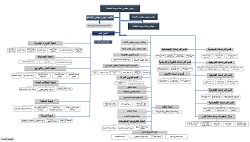 ������ ��� ������